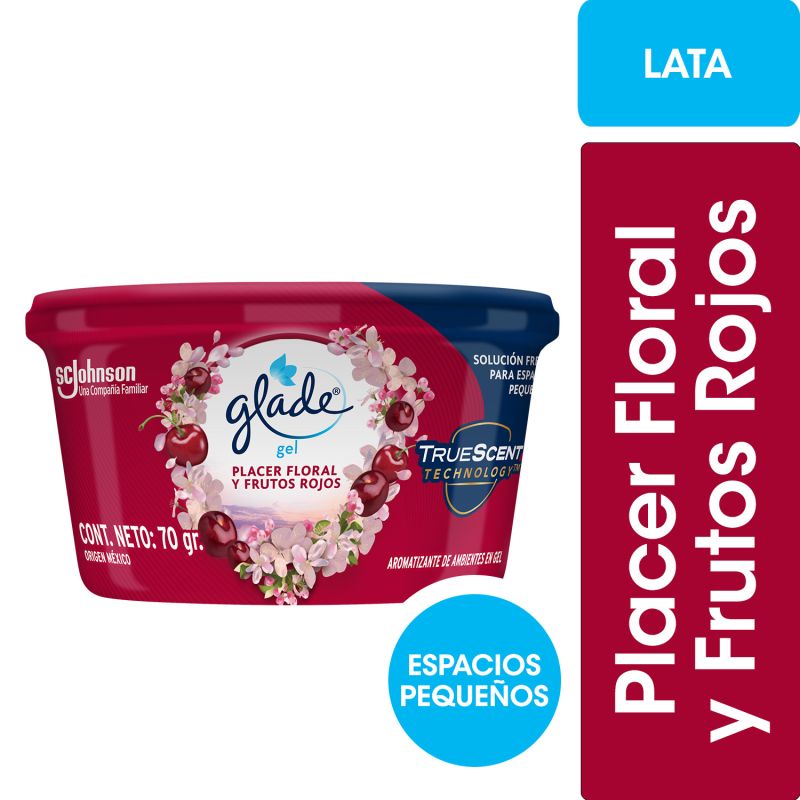 GLADE MINIGEL PLACER FL FR 70G X12